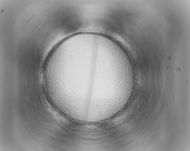 X0000088841462200706281809