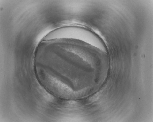 X0000088841463200706281809