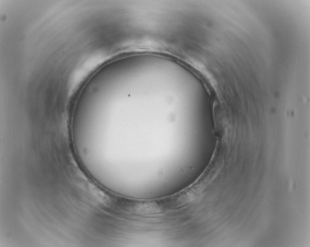 X0000088841464200706281809