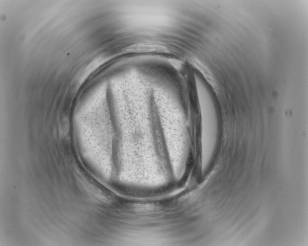 X0000088841465200706281809