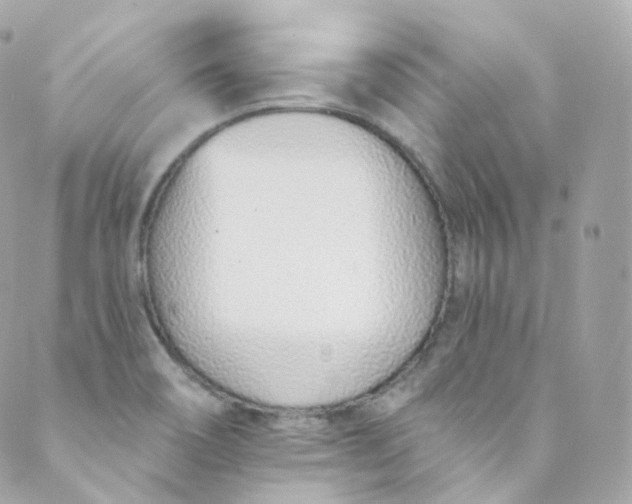 X0000088841466200706281809