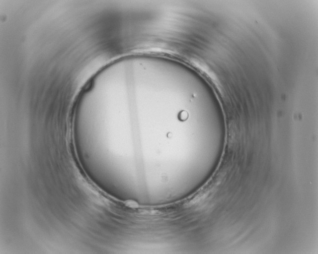 X0000088841467200706281809