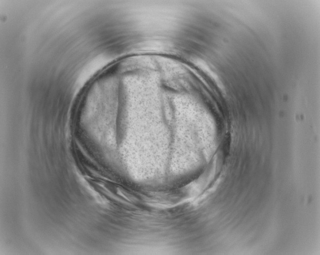 X0000088841469200706281809