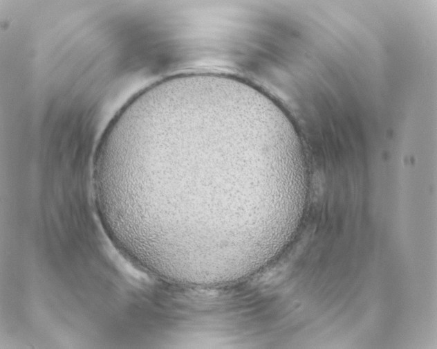 X0000088841470200706281809