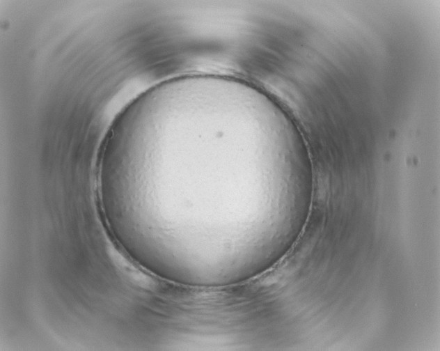 X0000088841471200706281809