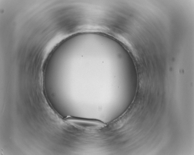 X0000088841472200706281809