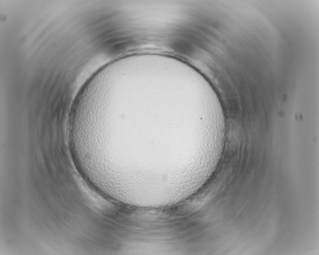 X0000088841474200706281809