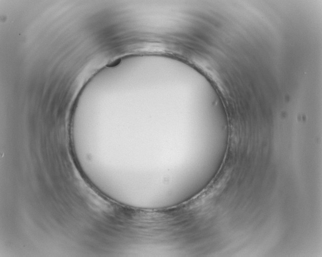 X0000088841475200706281809