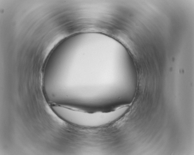 X0000088841476200706281809