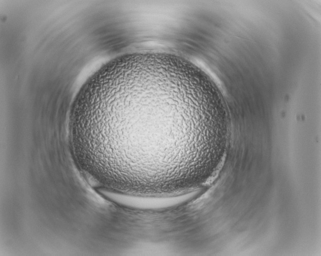 X0000088841477200706281809