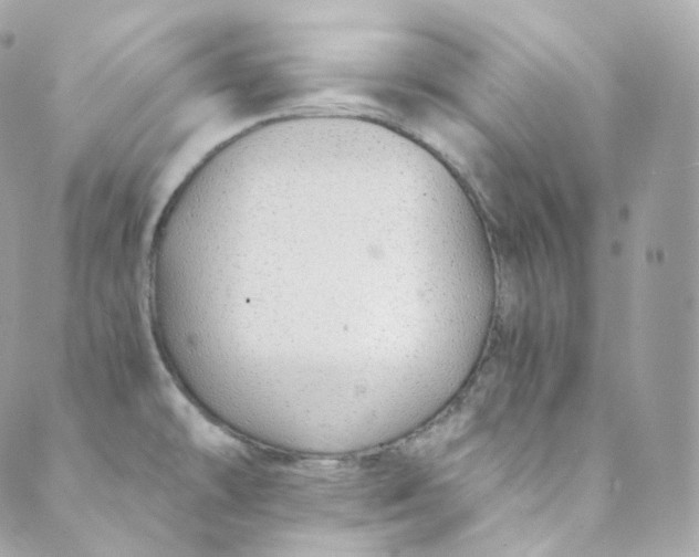 X0000088841478200706281809