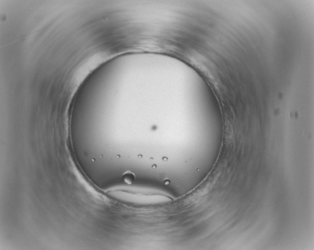 X0000088841479200706281809