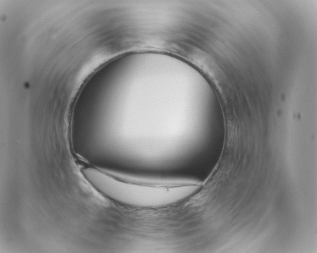 X0000088841480200706281809