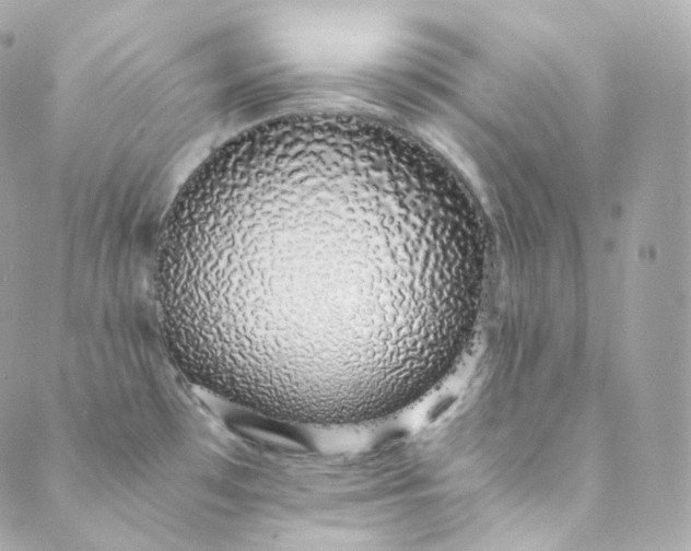 X0000088841481200706281809