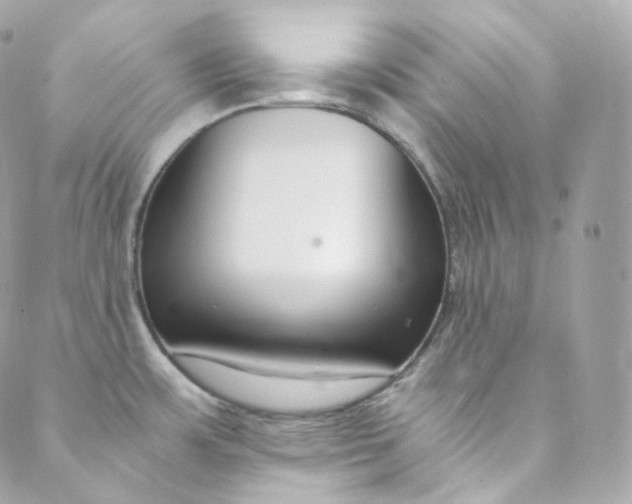 X0000088841483200706281809