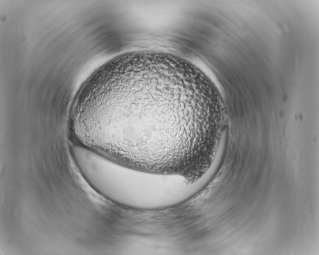 X0000088841485200706281809