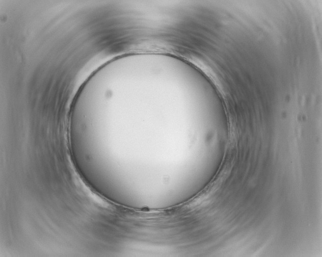 X0000088841486200706281809