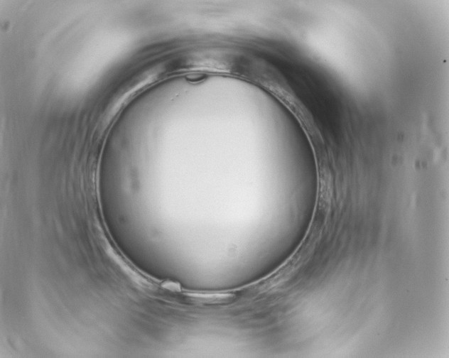 X0000088841487200706281809