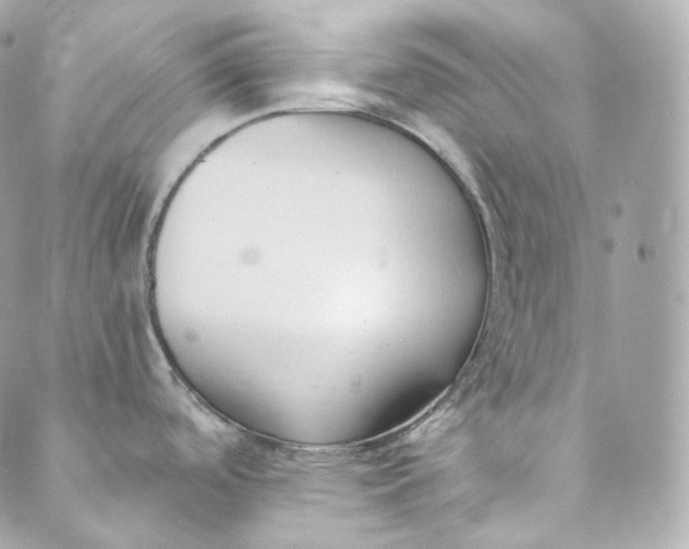 X0000088841488200706281809