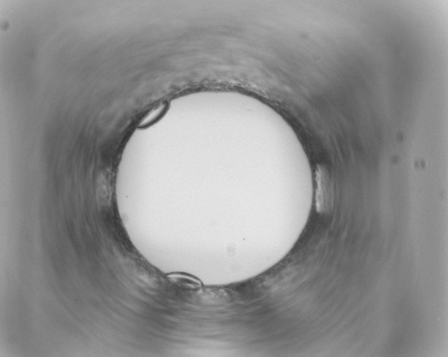 X0000088841491200706281808