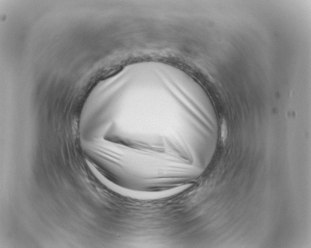 X0000088841492200706281808