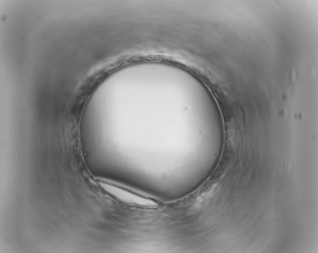 X0000088841494200706281808