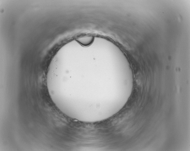 X0000088841495200706281808