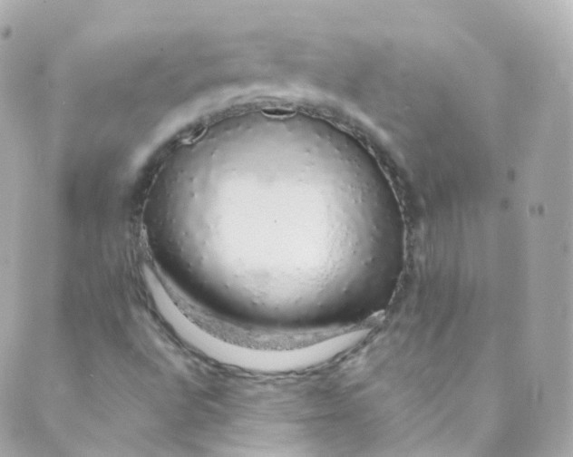 X0000088841496200706281808