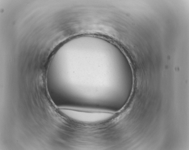 X0000088841497200706281808