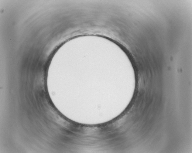 X0000088841498200706281808