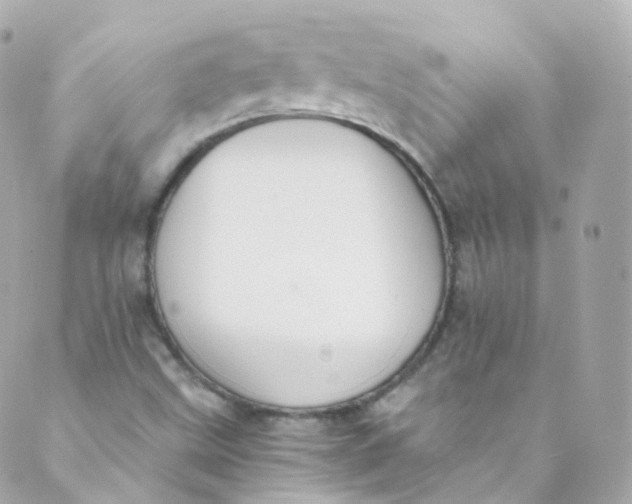 X0000088841499200706281808