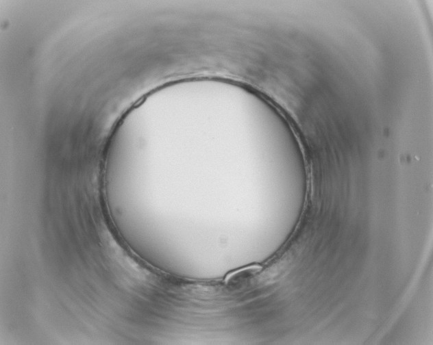 X0000088841500200706281808