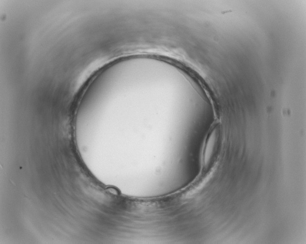 X0000088841501200706281808