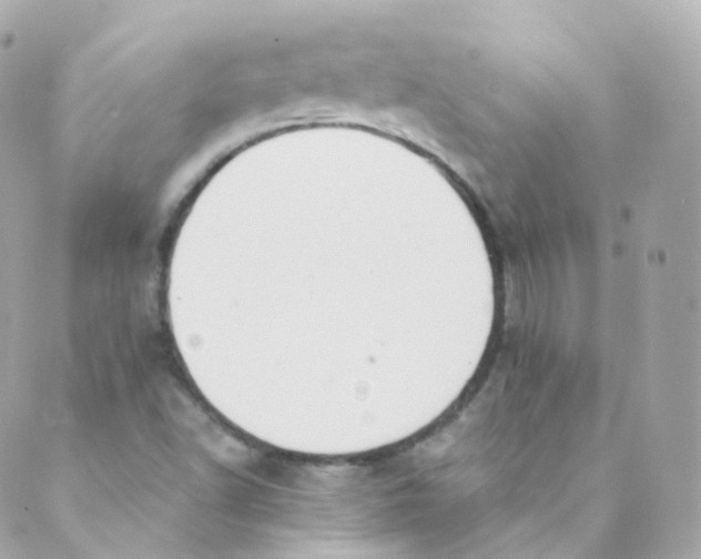 X0000088841502200706281808