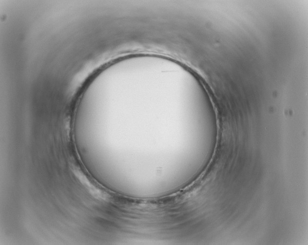 X0000088841503200706281808