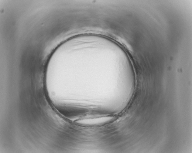 X0000088841504200706281808