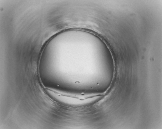 X0000088841505200706281808