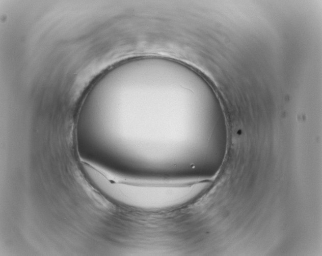 X0000088841507200706281808