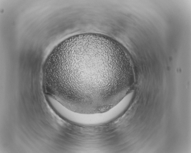 X0000088841508200706281808