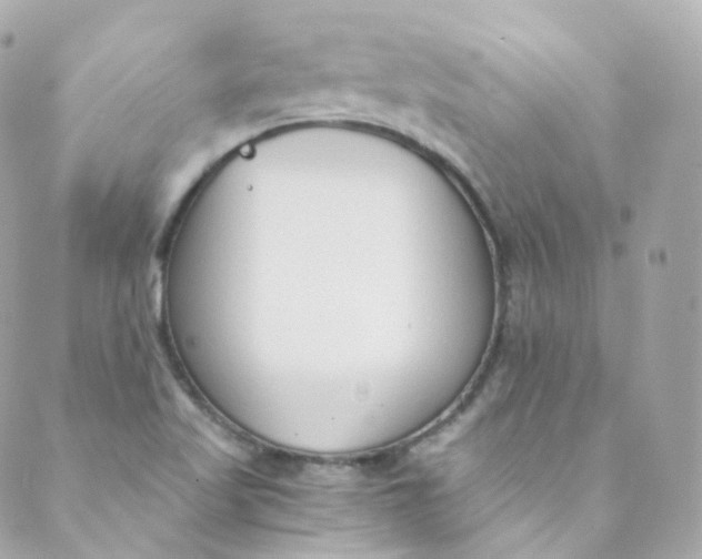 X0000088841509200706281808