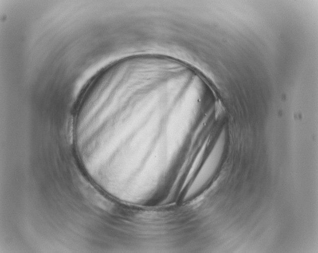 X0000088841510200706281808