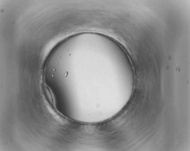 X0000088841511200706281808