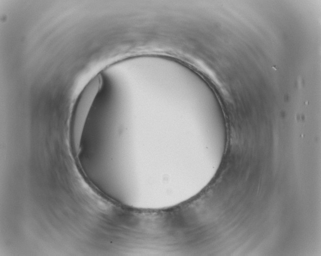 X0000088841512200706281808