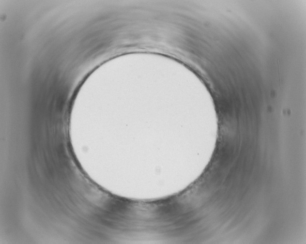 X0000088841514200706281808