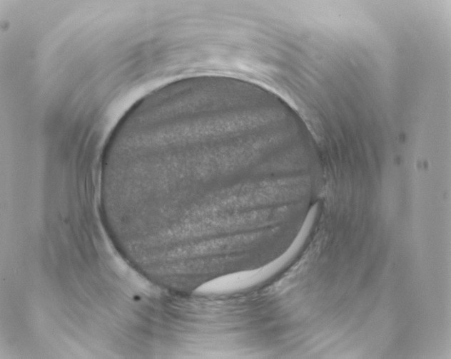 X0000088841515200706281808