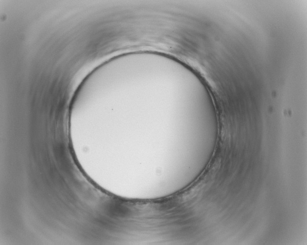 X0000088841516200706281808