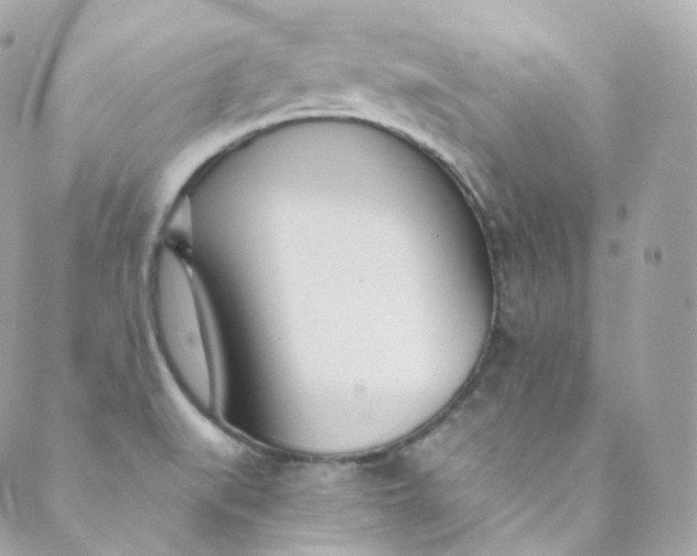 X0000088841519200706281808