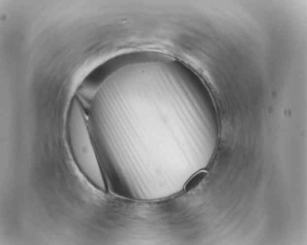 X0000088841520200706281808