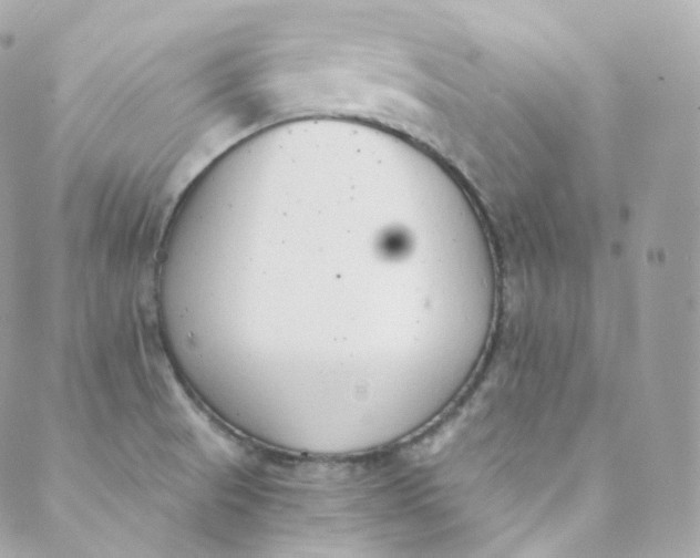 X0000088841521200706281808