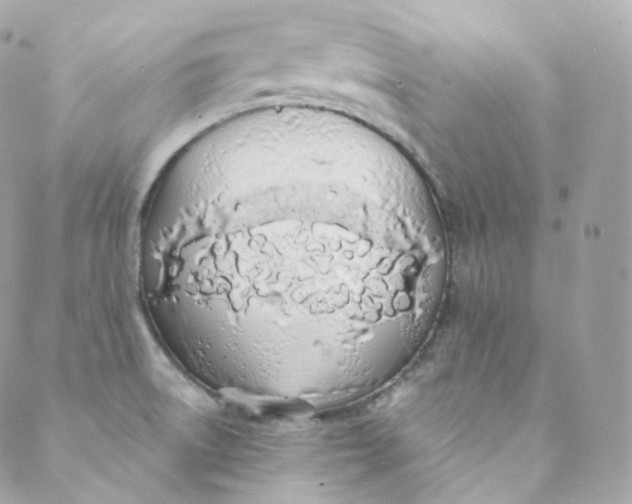 X0000088841522200706281808